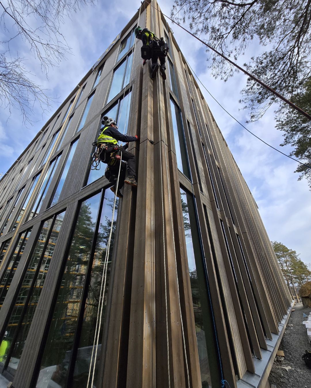 vyn_-gbg-nast-treehouse-(9).jpg